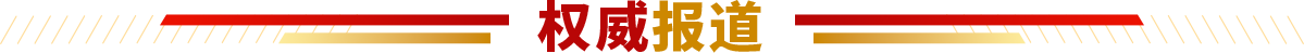 bt3 bt3