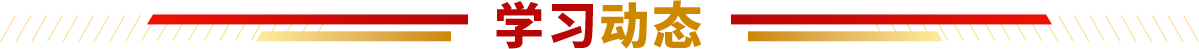 bt4 bt4