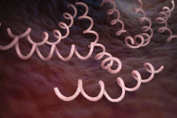 1745819940193045936.png 2.png