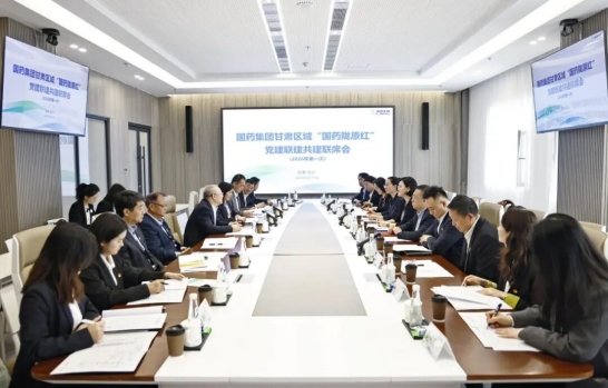 党建联建聚合力，携手共绘陇原红